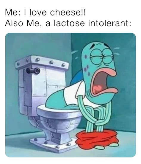 lactose intolerant meme|lactose intolerance tiktok.